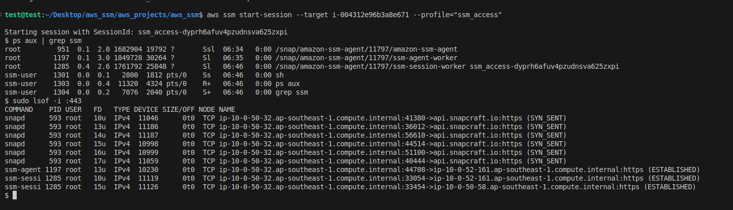 Terminal capture of an SSM session with the agent process and established HTTPS connections